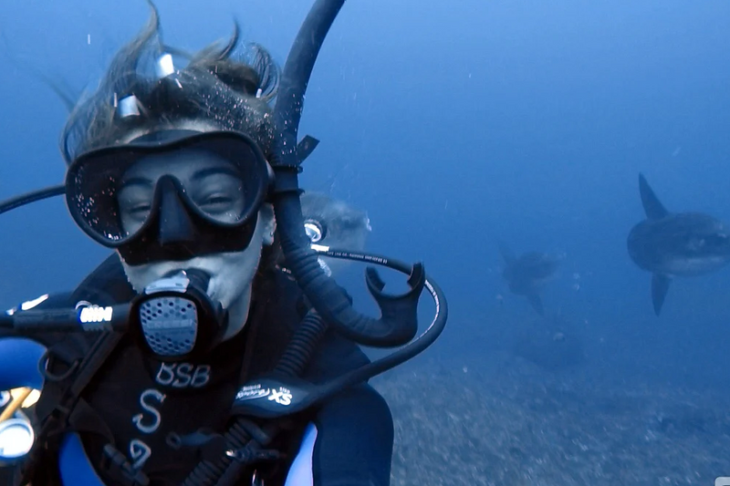 World Oceans Day - A Marine Biologist's Perspective on Ocean Conservation