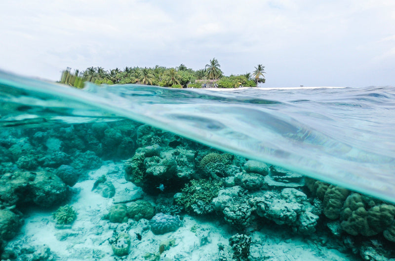 Sunscreen that’s good for our reefs and good for you