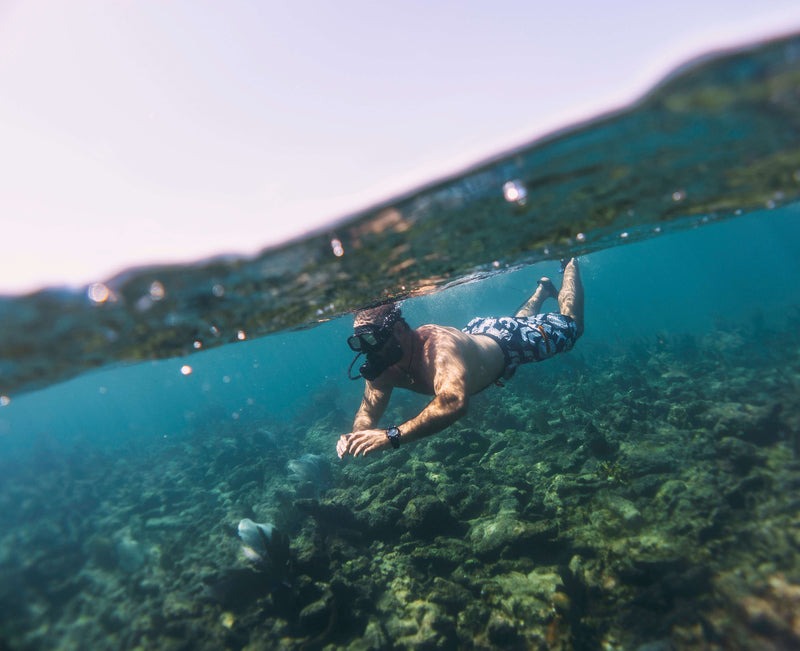 5 Small Changes You Can Make To Save The Coral Reefs