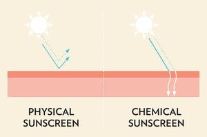 Illustration demonstrating the difference between physical and chemical sunscreens, relevant to LITTLE URCHIN Natural Clear Zinc Sunscreen